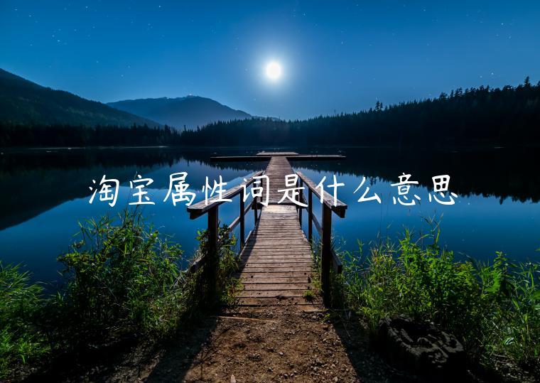 淘寶屬性詞是什么意思